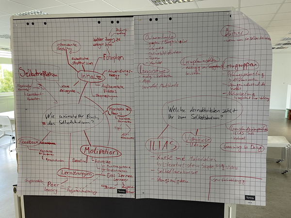 Ergebnisse der Gruppenarbeit Selbststudium